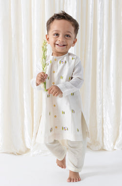 Mayur Regal Kurta Set