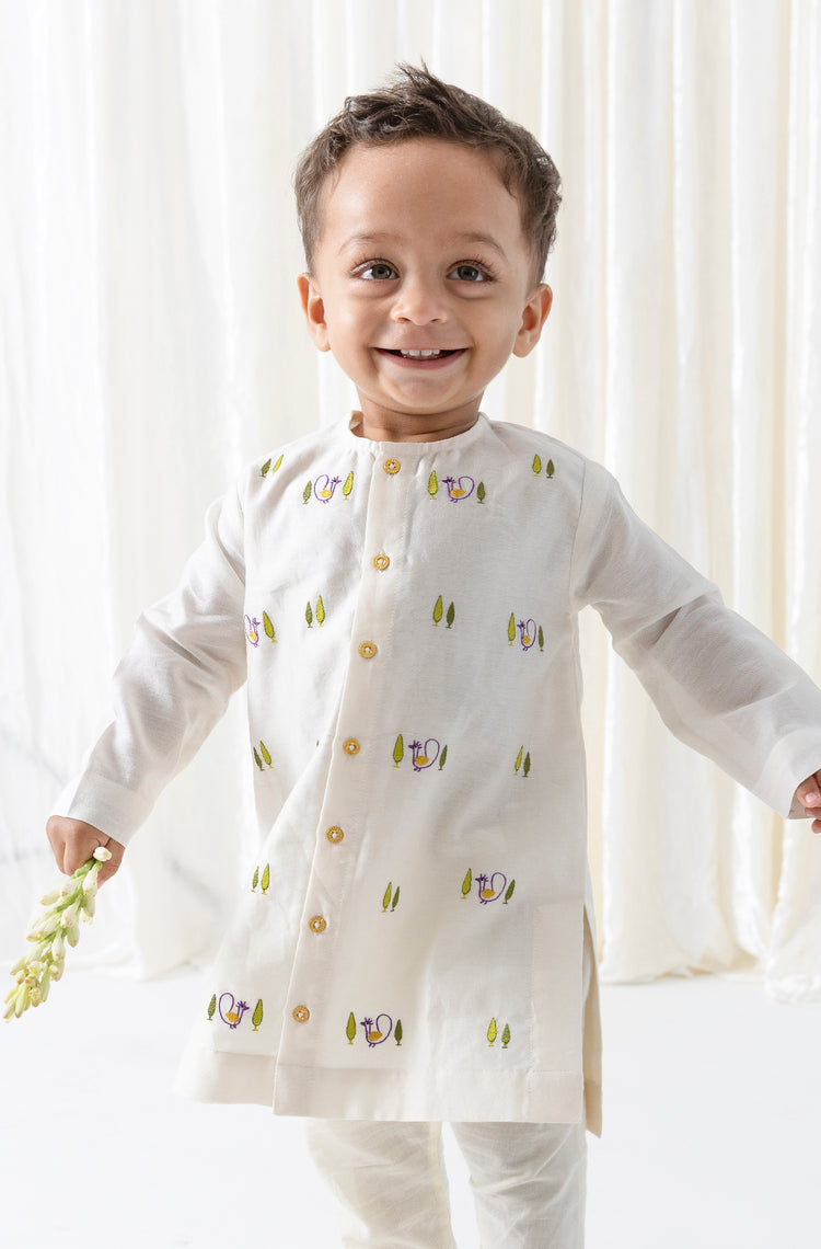 Mayur Regal Kurta Set