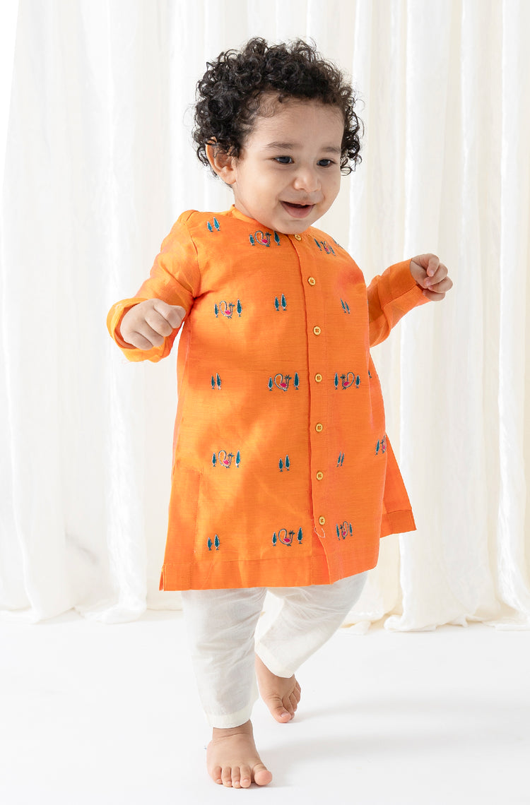 Mayur Regal Kurta Set