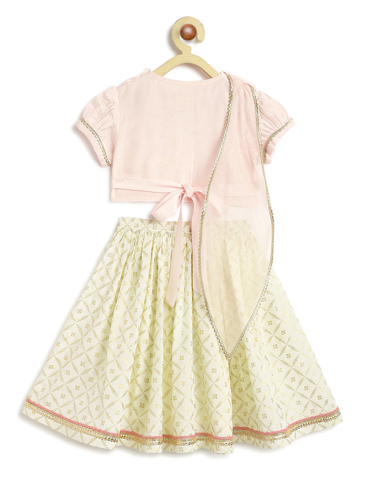 Swarn Jaal Lehenga Set - Pink