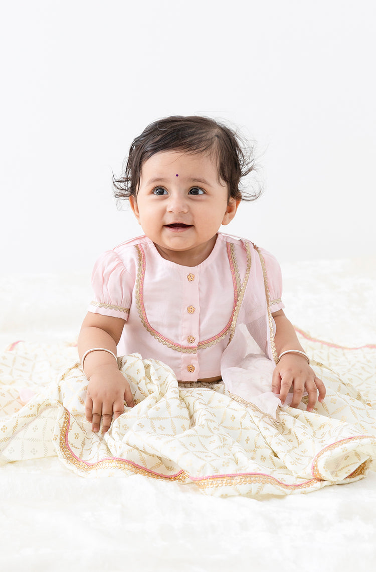 Swarn Jaal Lehenga Set - Pink