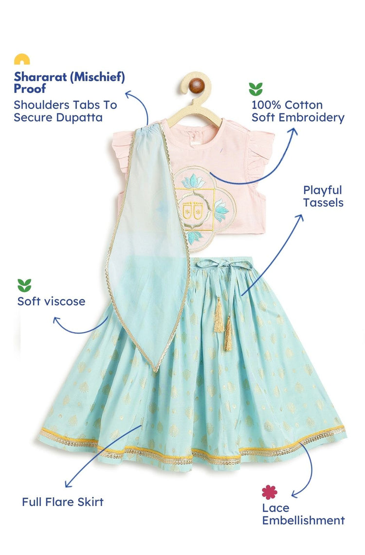 Krishna Charan Lehenga Set - Pink