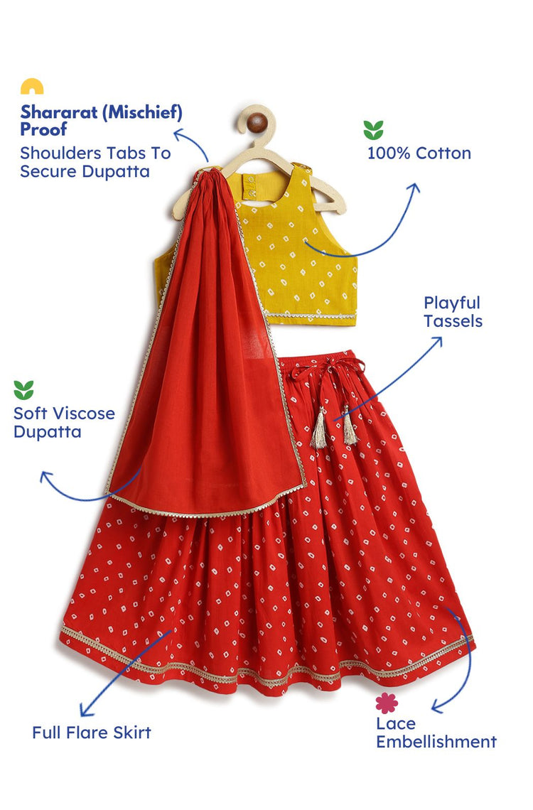 Genda Gulal Lehenga Set