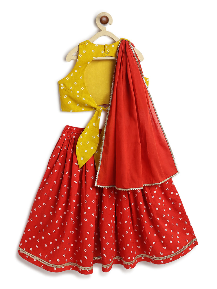 Genda Gulal Lehenga Set