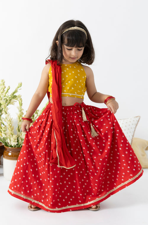 Genda Gulal Lehenga Set