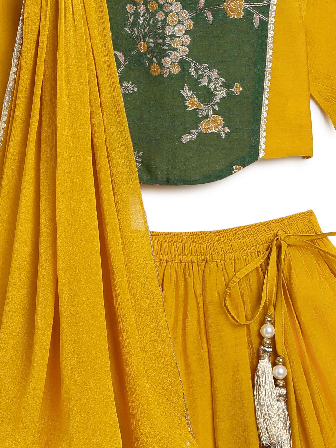 Bagh Bahaar Lehenga Set